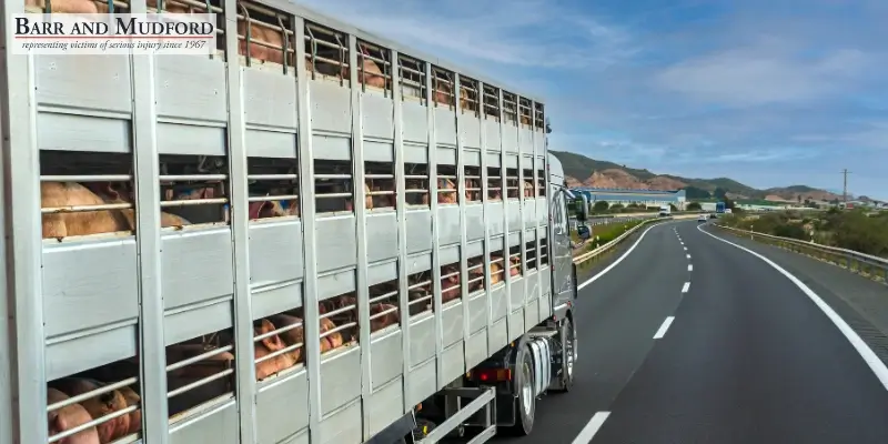 Best California Vehicle & Livestock Accident Attorney