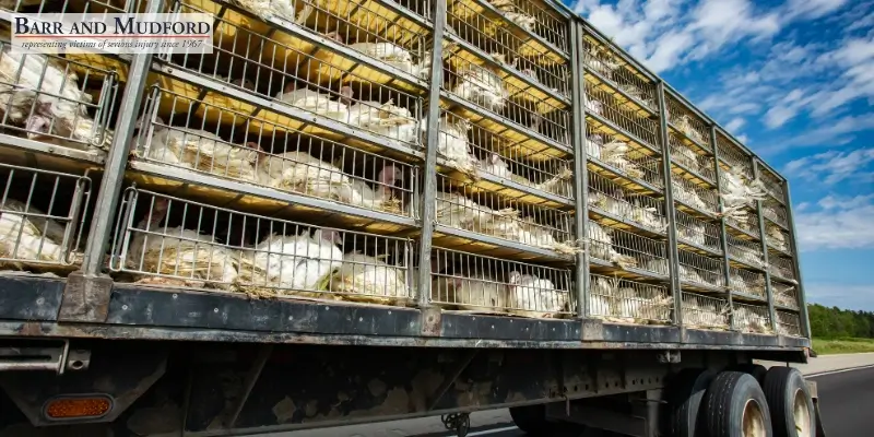 Skilled Chico Vehicle & Livestock Accident Attorney