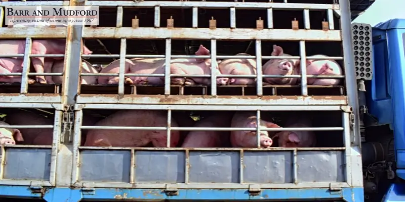 Trusted Siskiyou County Vehicle & Livestock Accident Attorney