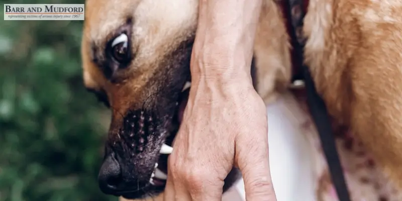 Dedicated Red Bluff Dog Bite Attorney