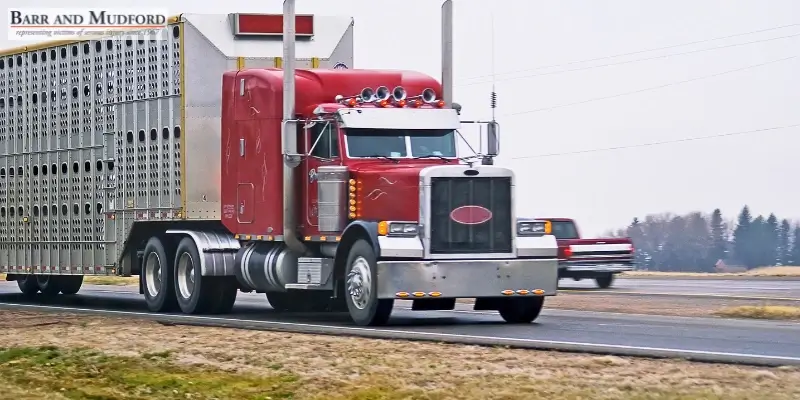 Expert Red Bluff Vehicle & Livestock Accident Attorney